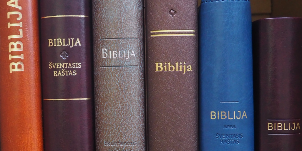 Biblija internetiniame knygyne